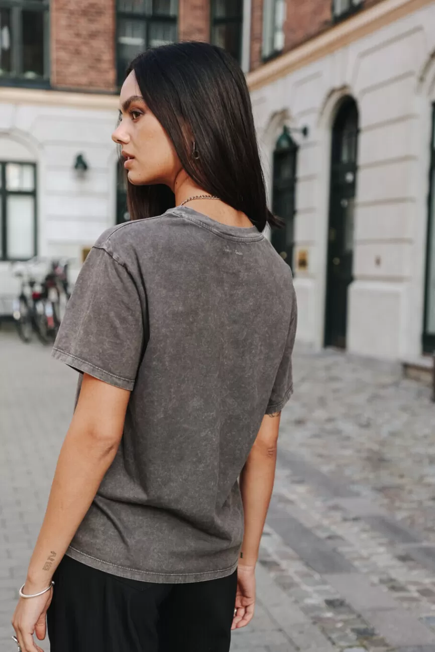 Élégance Intemporelle - Collection Freeman & T. Porter par Suria : Message Féminin Exclusif