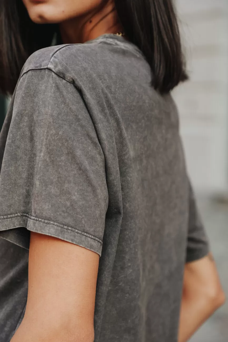 Élégance Intemporelle - Collection Freeman & T. Porter par Suria : Message Féminin Exclusif