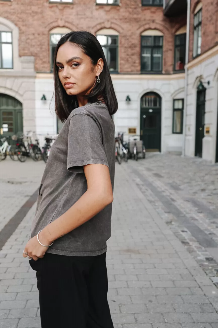 Élégance Intemporelle - Collection Freeman & T. Porter par Suria : Message Féminin Exclusif
